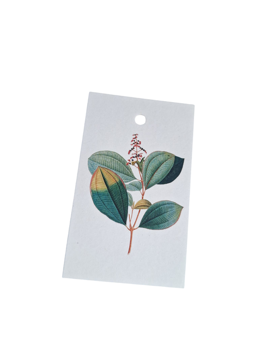 Hush Plant - Cadeaukaartje