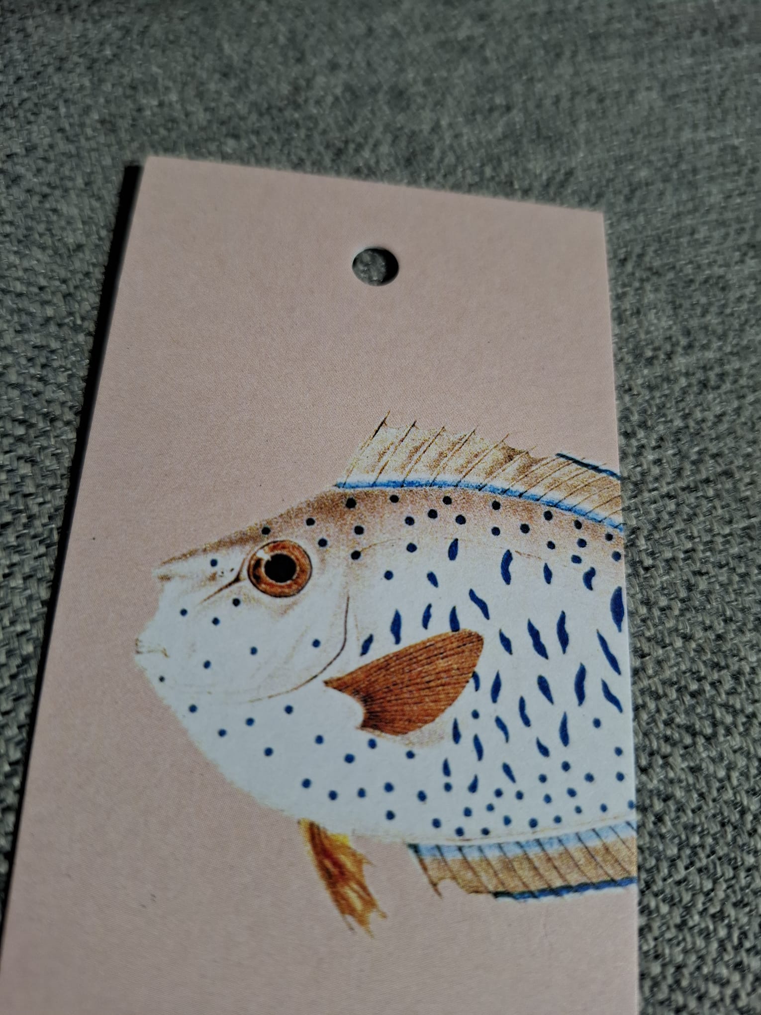 Baars Vis - Cadeaukaartje