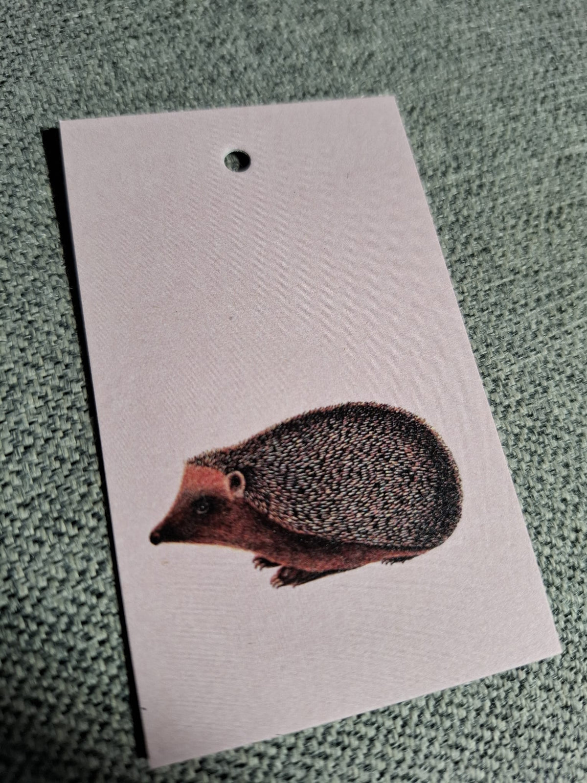 Egel - Cadeaukaartje