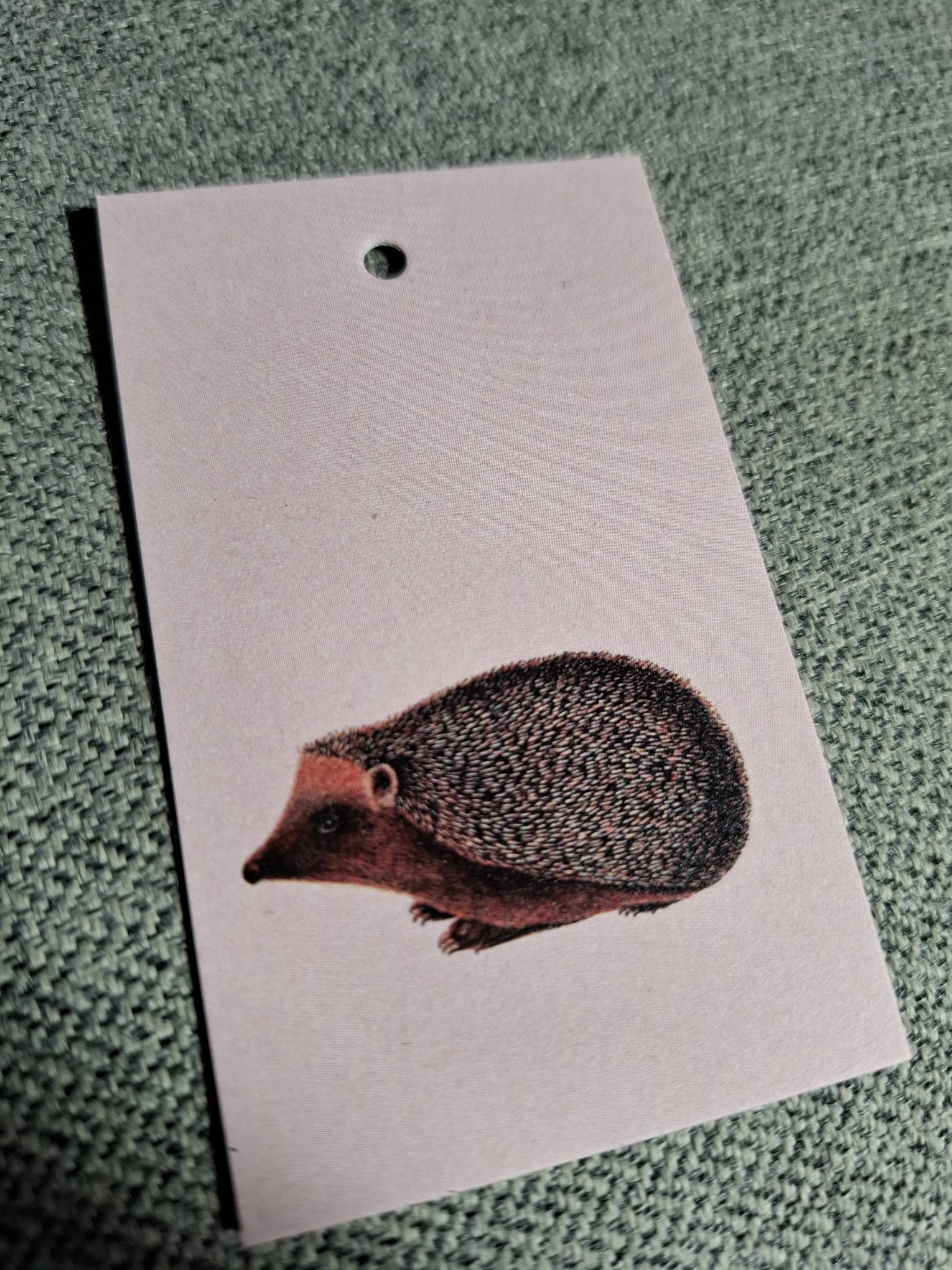 Egel - Cadeaukaartje