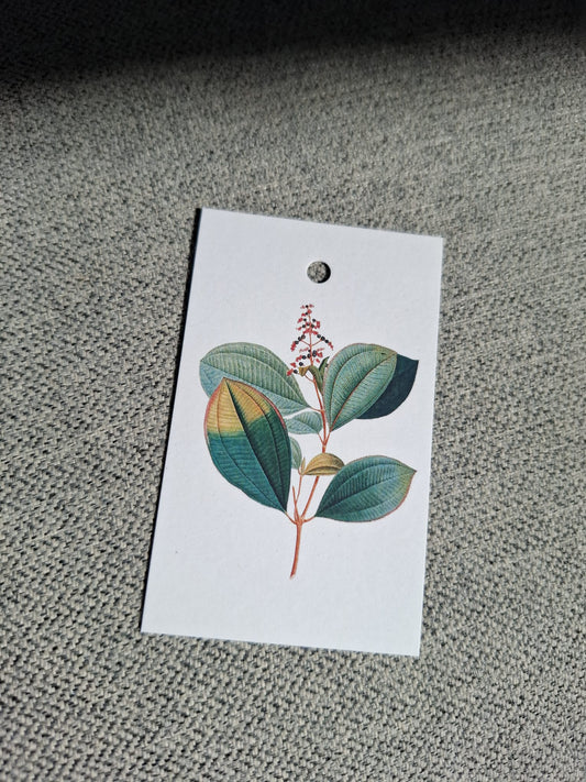 Hush Plant - Cadeaukaartje
