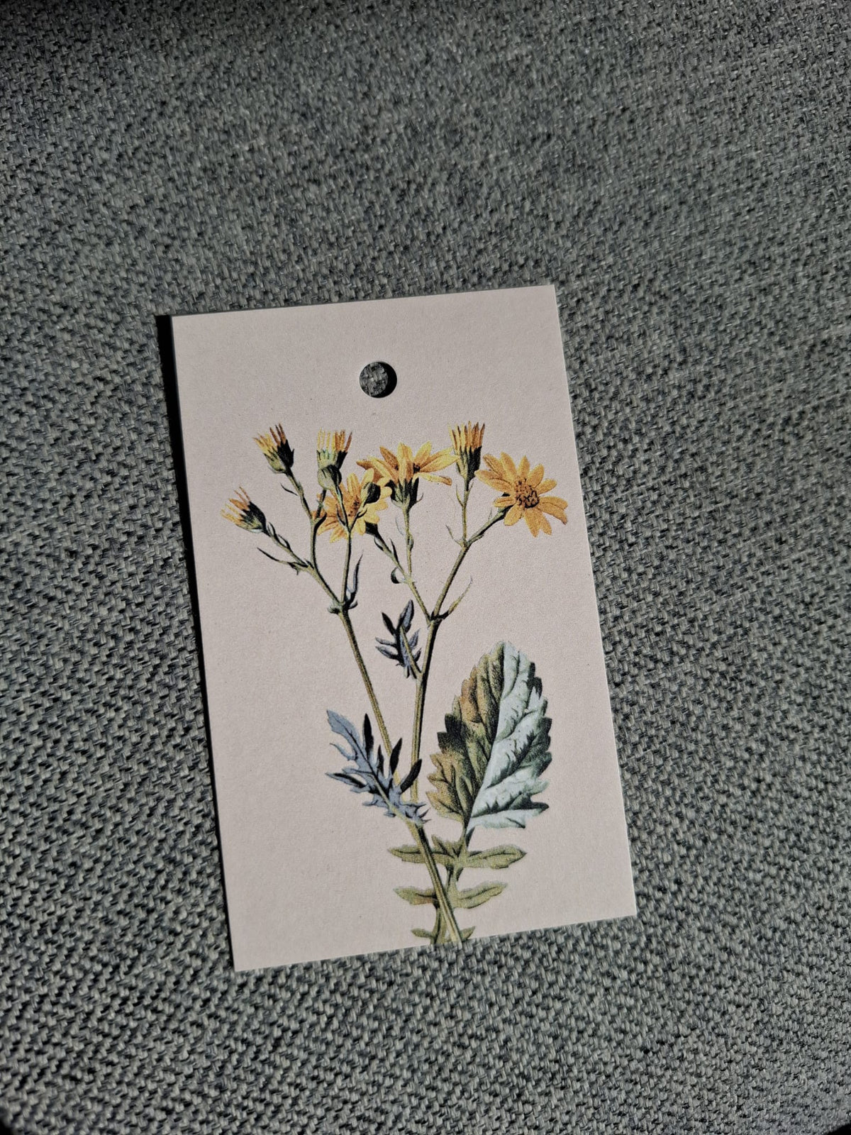 Paardenbloem - Cadeaukaartje