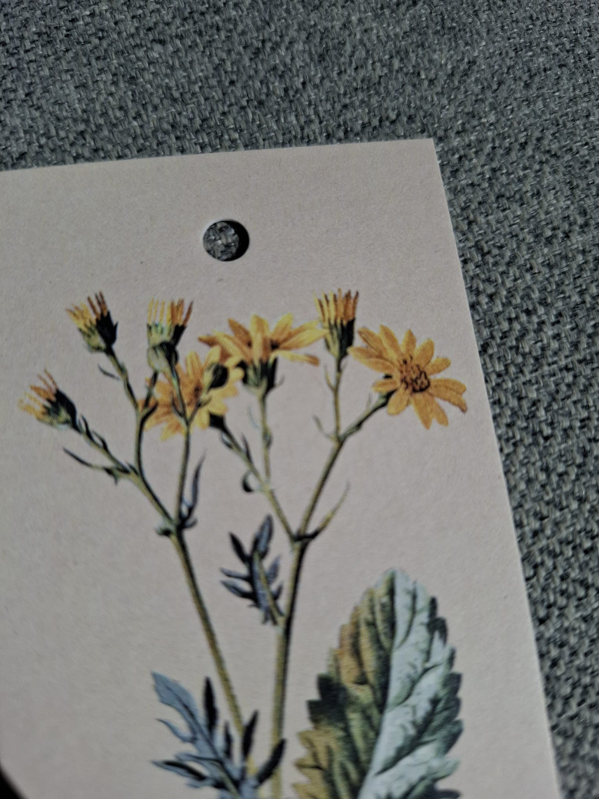 Paardenbloem - Cadeaukaartje