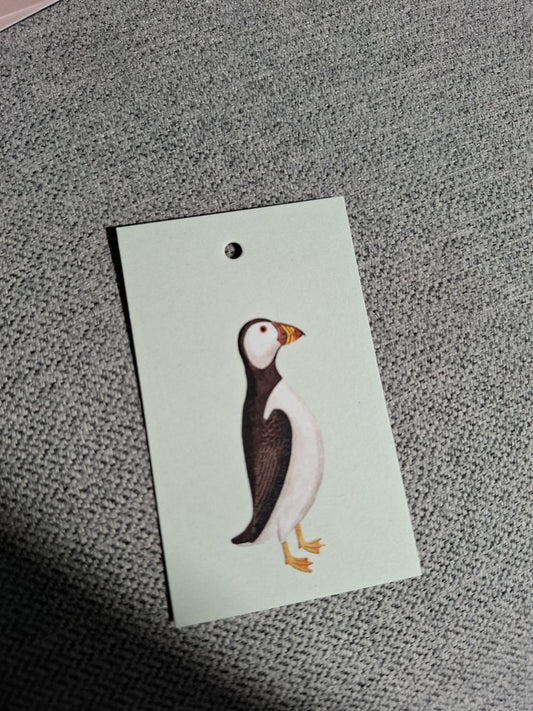 Papegaaiduiker - Cadeaukaartje