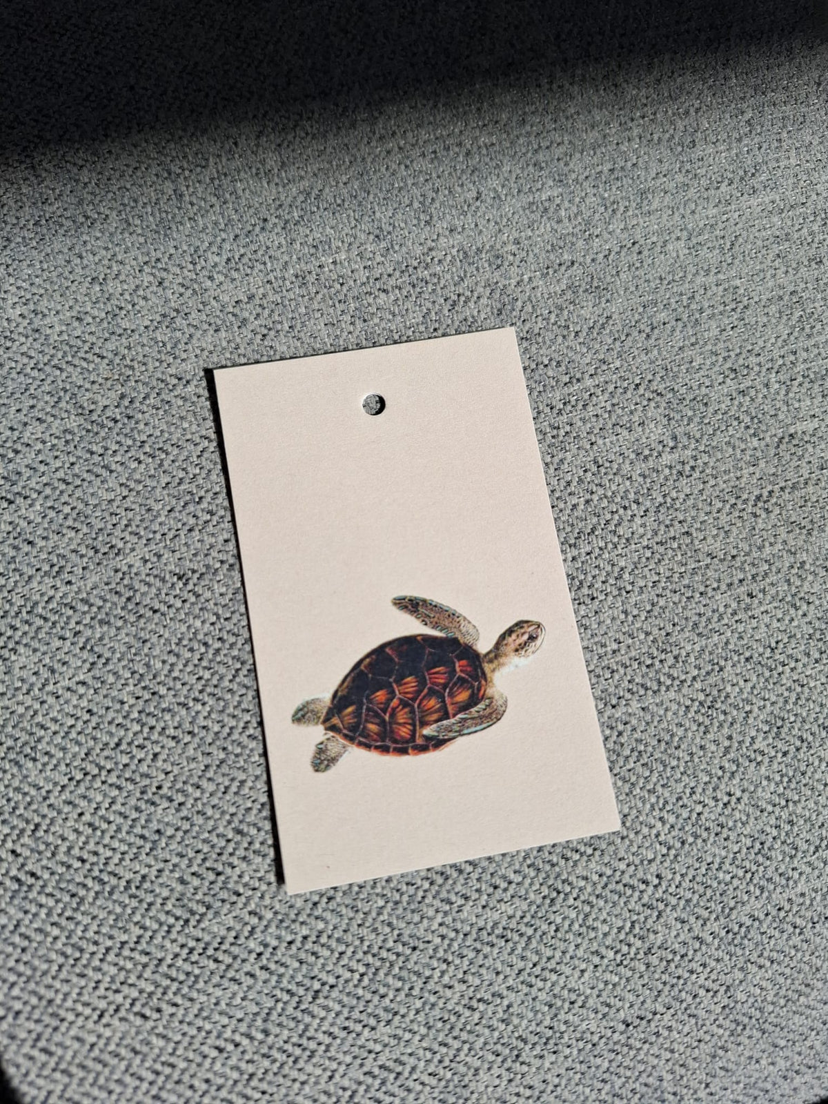 Zee Schildpad - Cadeaukaartje