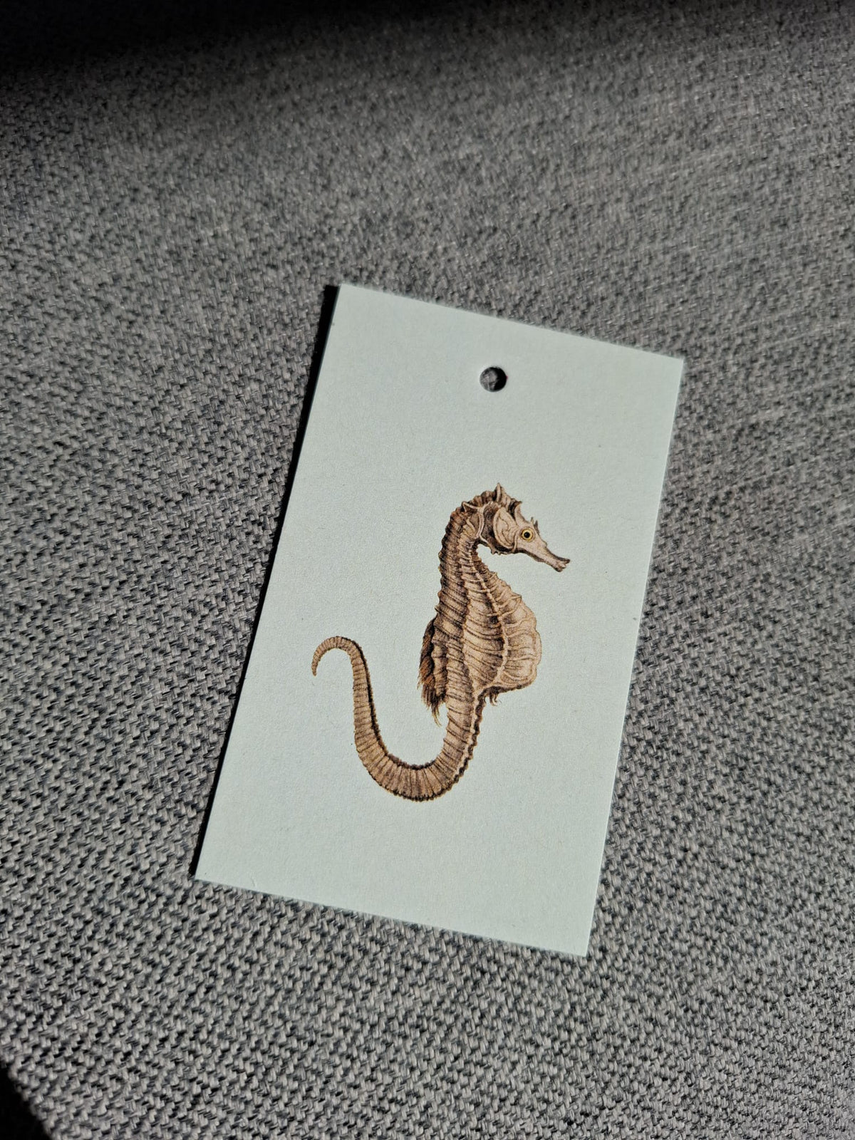 Zeepaard - Cadeaukaartje