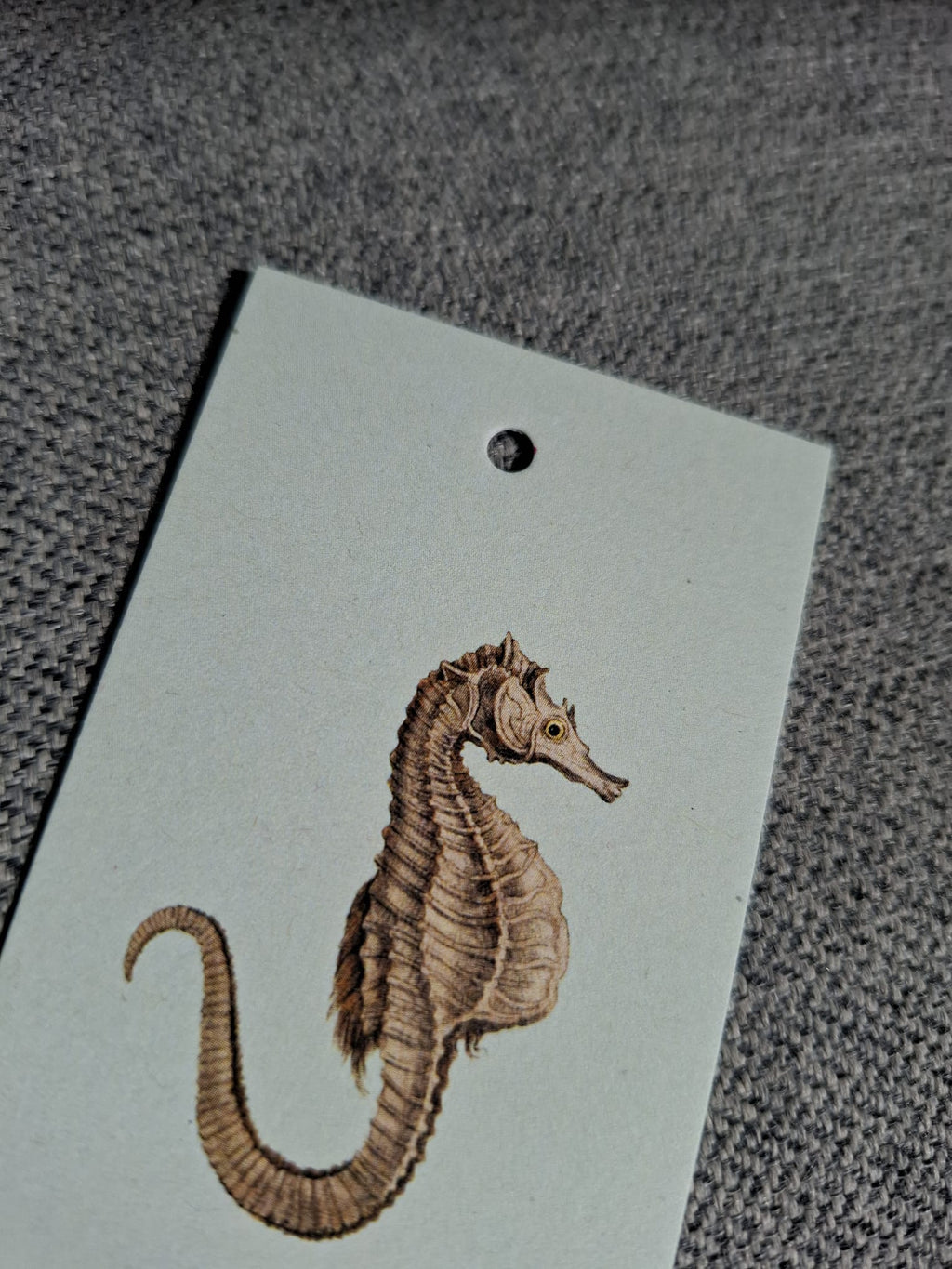 Zeepaard - Cadeaukaartje