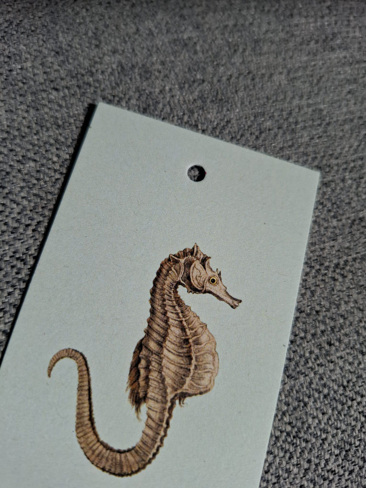 Zeepaard - Cadeaukaartje