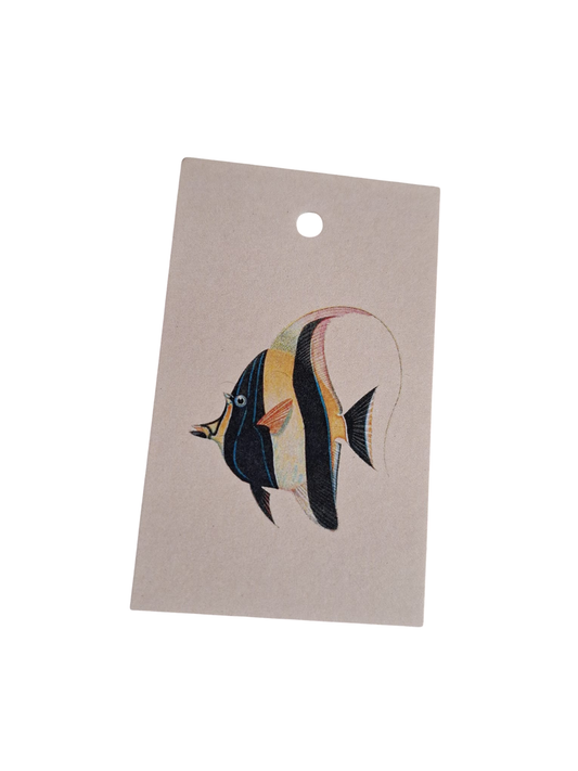 Maanvis - Cadeaukaartje