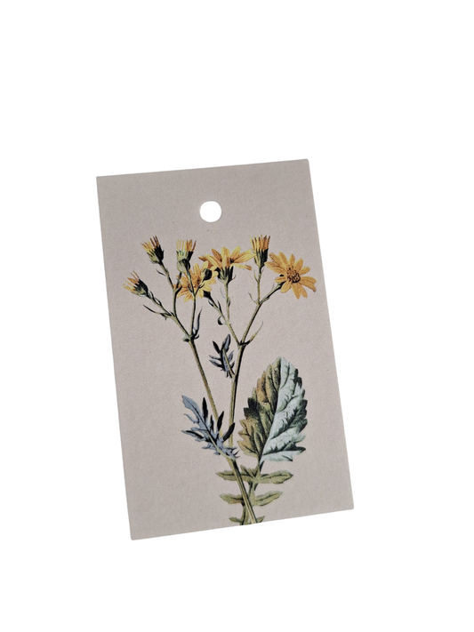 Paardenbloem - Cadeaukaartje