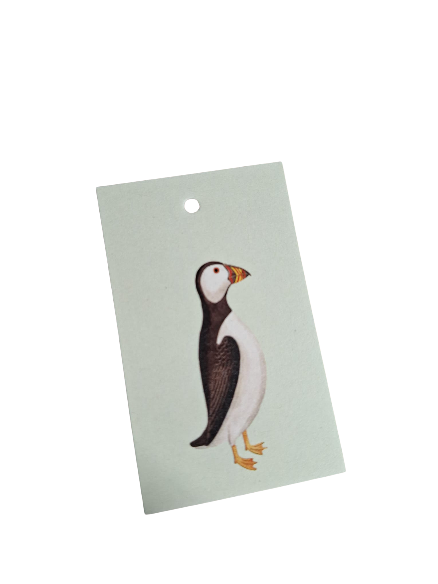 Papegaaiduiker - Cadeaukaartje