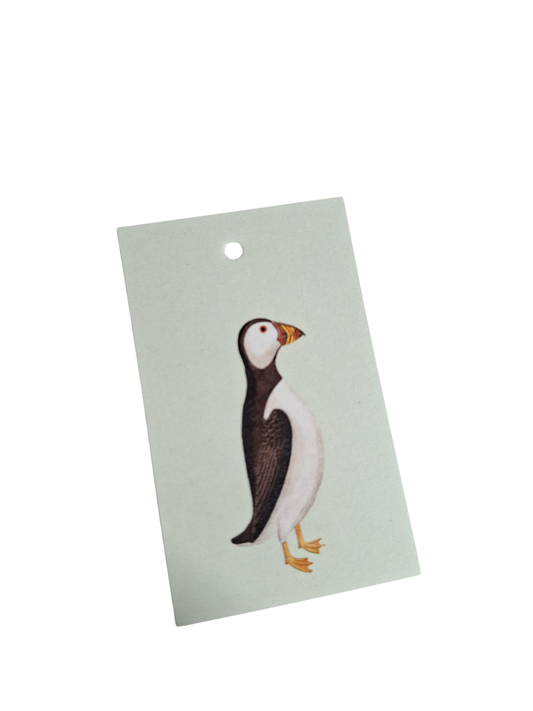 Papegaaiduiker - Cadeaukaartje