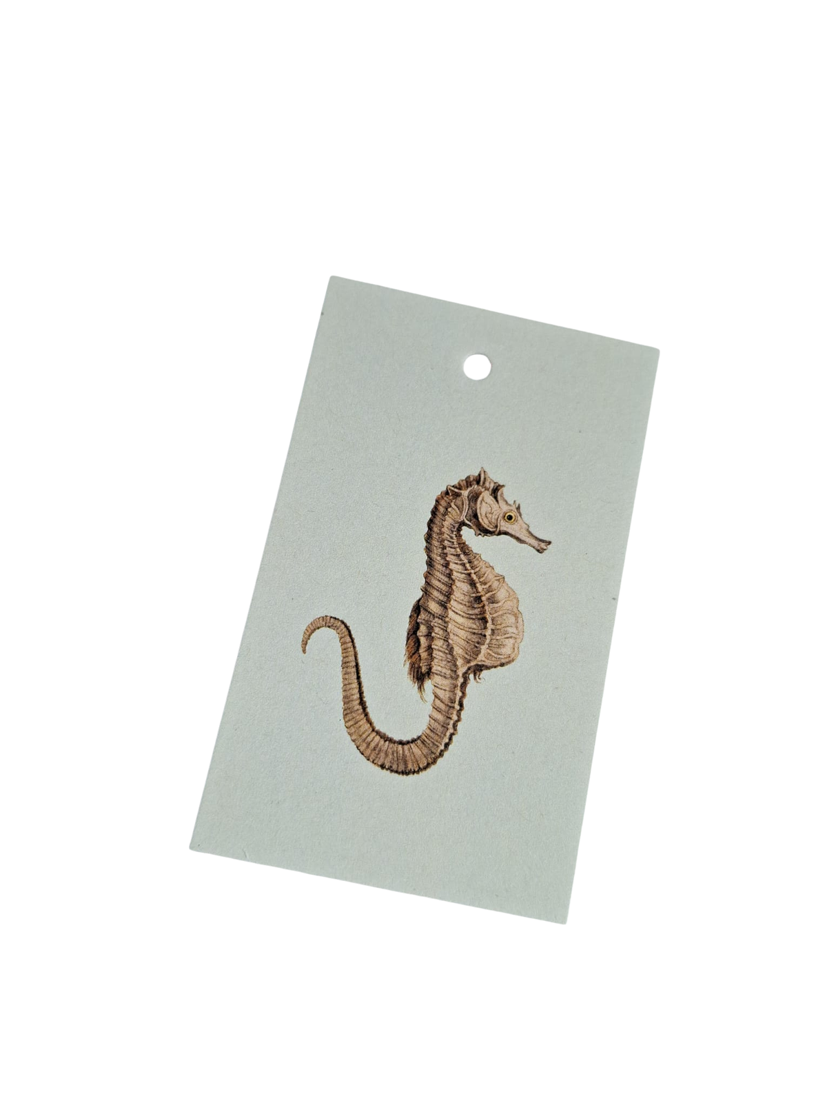 Zeepaard - Cadeaukaartje
