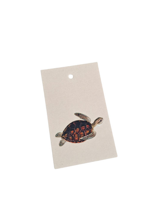 Zee Schildpad - Cadeaukaartje