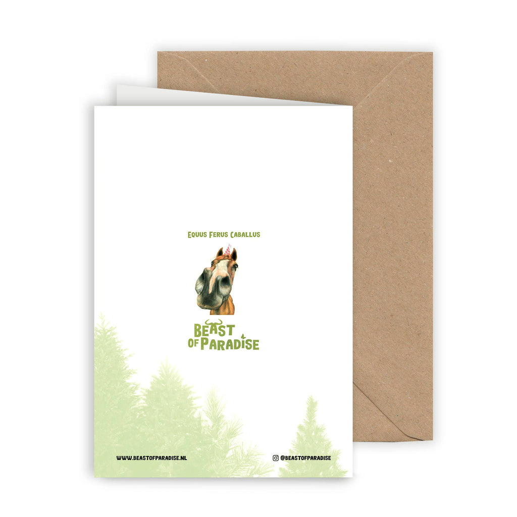 Grappig Paard - Wenskaart met envelop