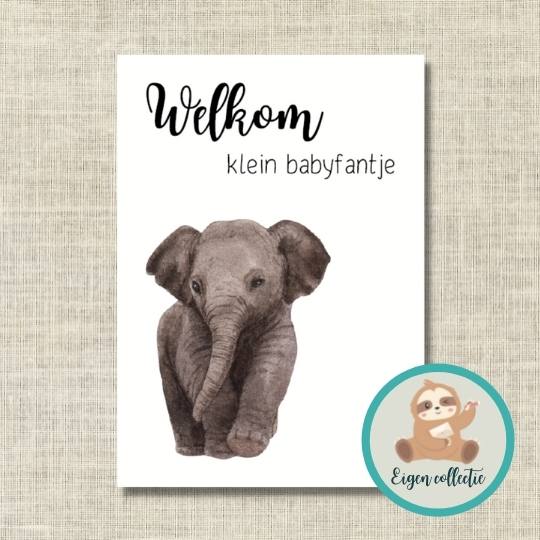'Welkom klein babyfantje' - Olifant Ansichtkaart