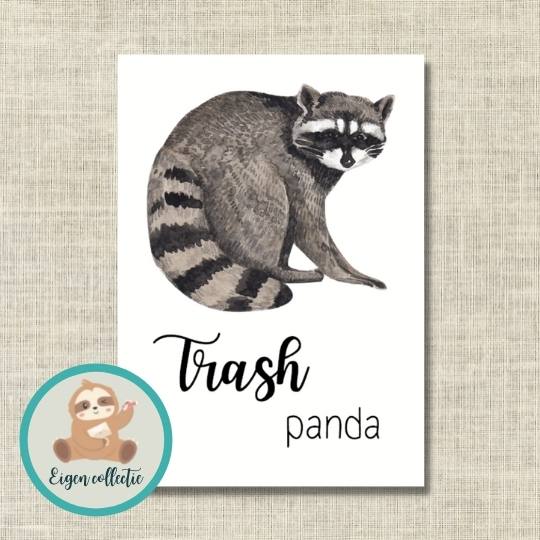 'Trash panda' - Wasbeer Ansichtkaart