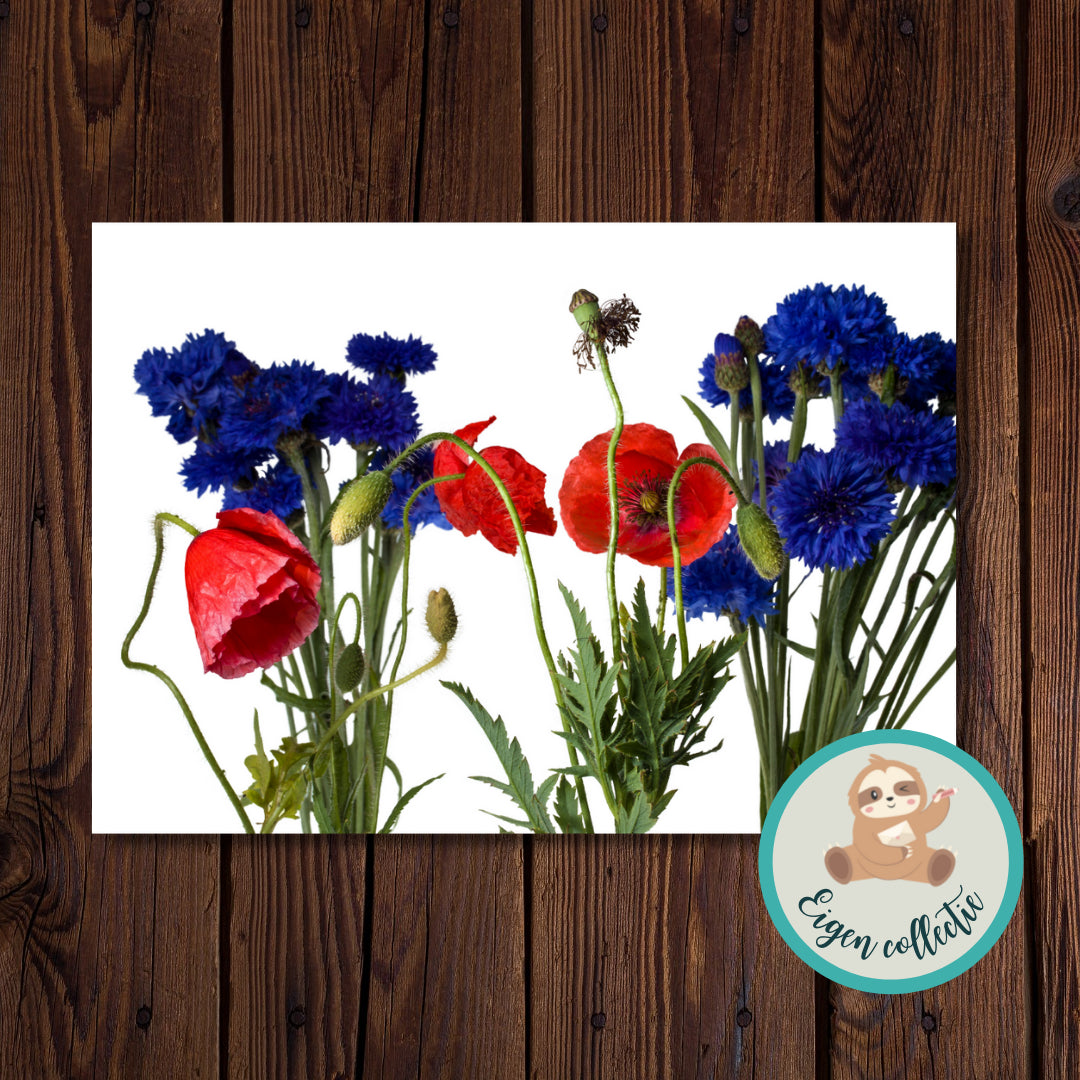 Korenbloemen en klaprozen - Ansichtkaart