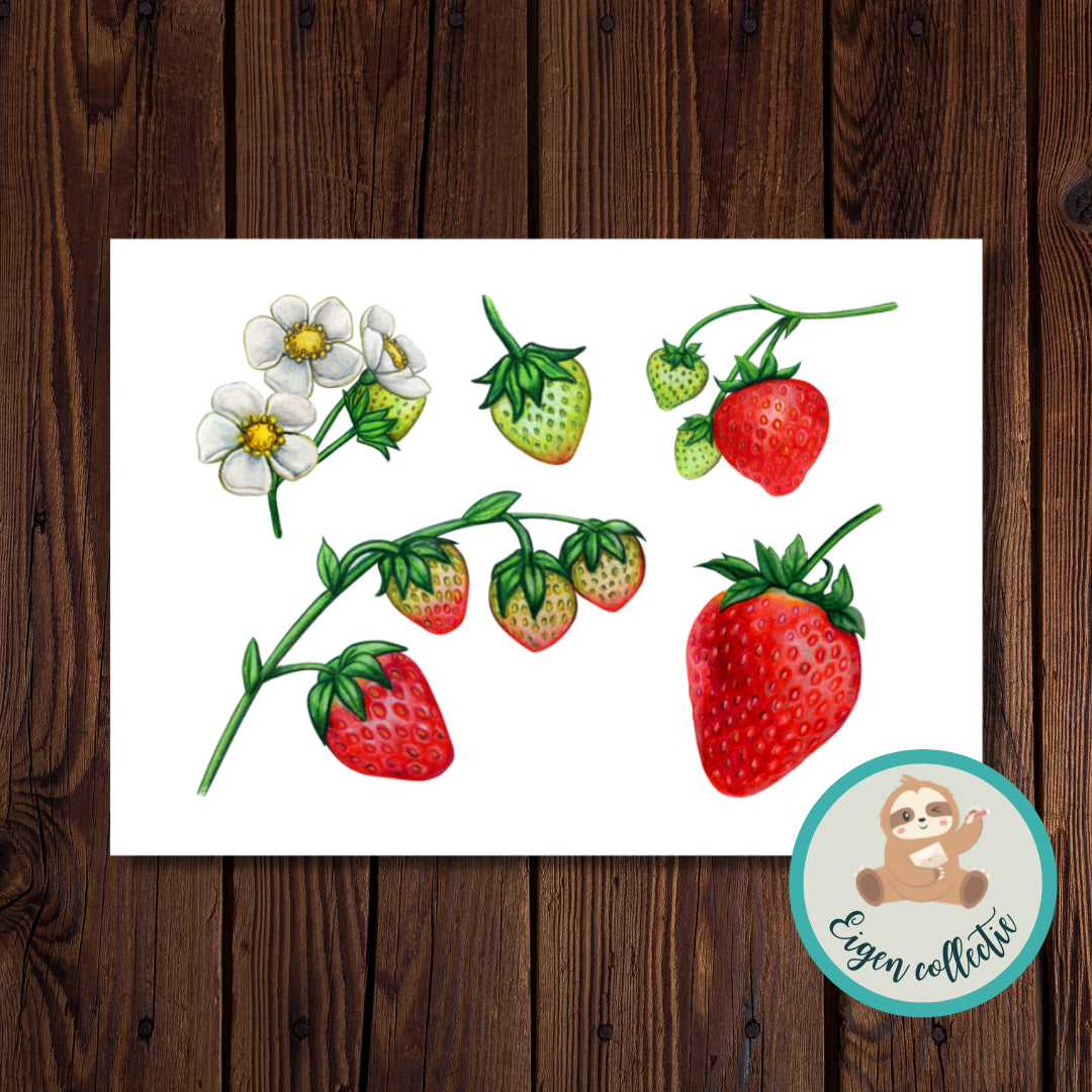 Aardbeien - Illustratie Ansichtkaart