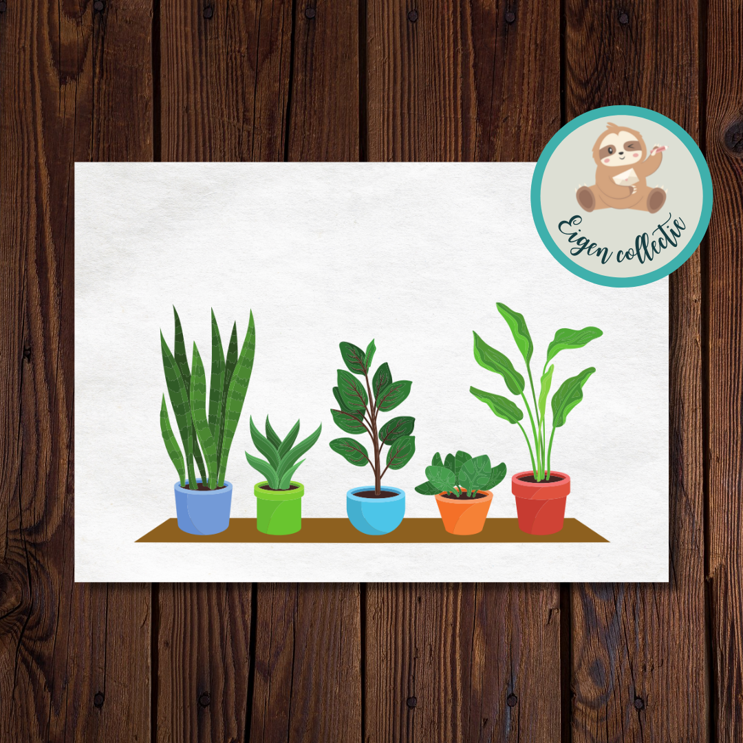 Planten in potjes - Ansichtkaart