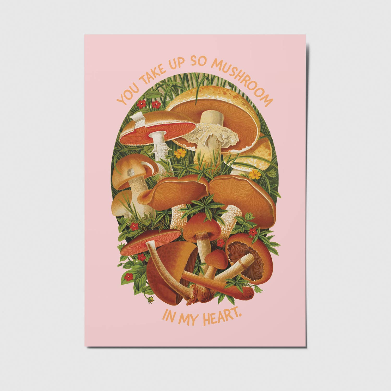 'You take up so mushroom in my heart' - Ansichtkaart