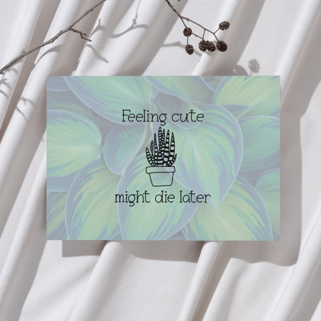 'Feeling cute, might die later' - Plant Ansichtkaart