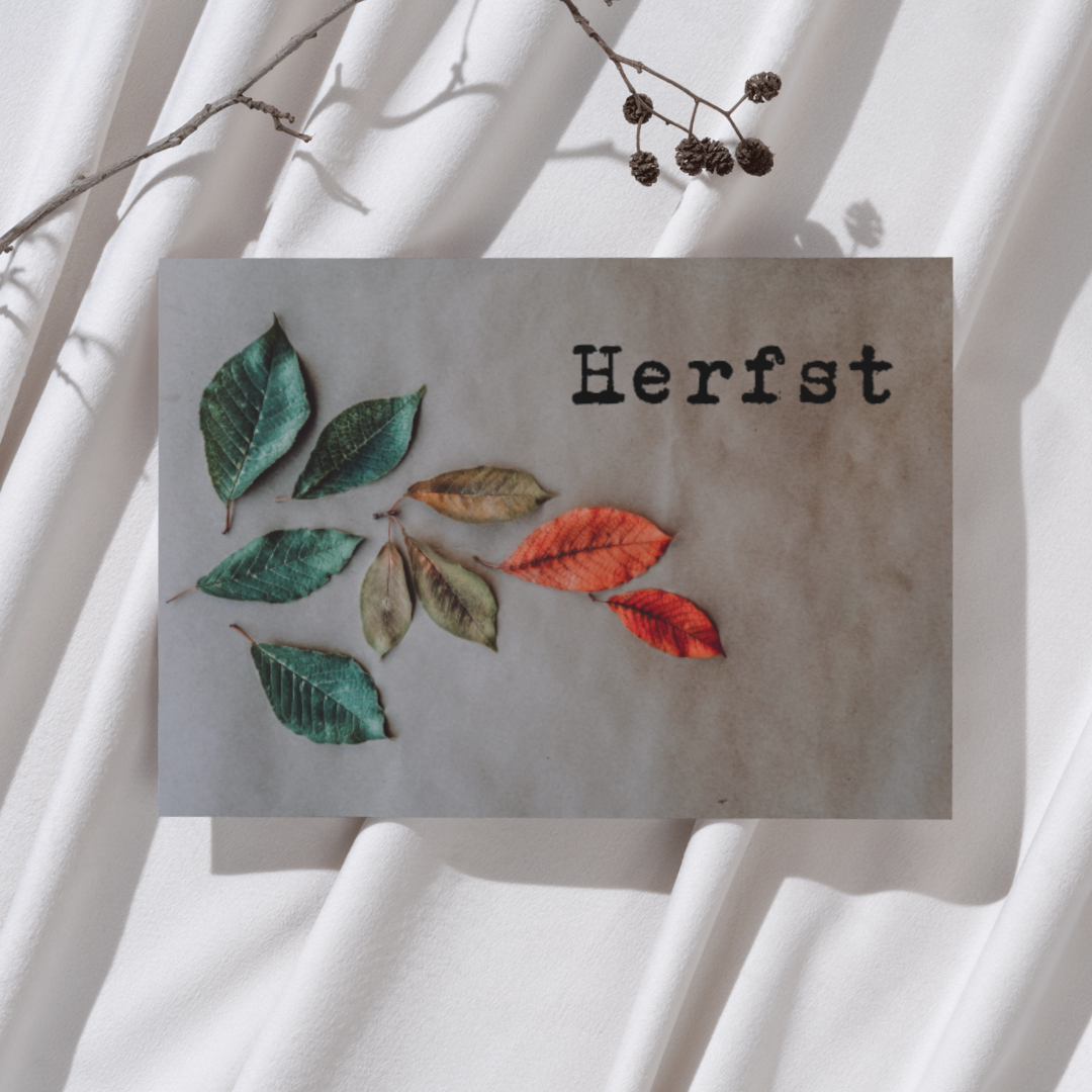 'Herfst’ Bladeren – Ansichtkaart