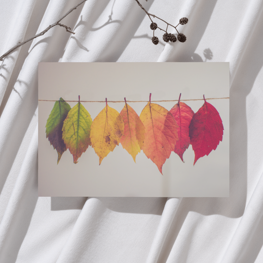 Herfstblaadjes - Foto Ansichtkaart