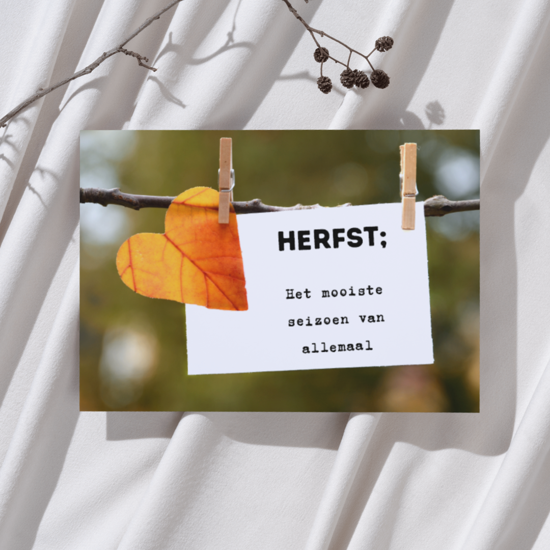 'Herfst; Het mooiste seizoen van allemaal' - Ansichtkaart