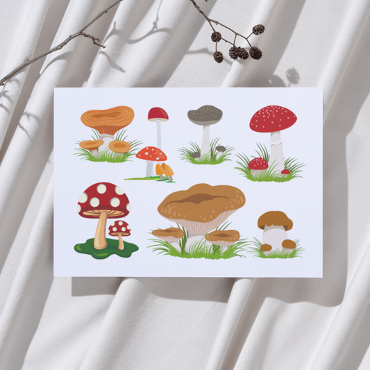 Paddenstoelen – Ansichtkaart