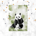 Panda – Ansichtkaart