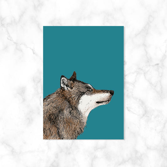 Wolf – Ansichtkaart