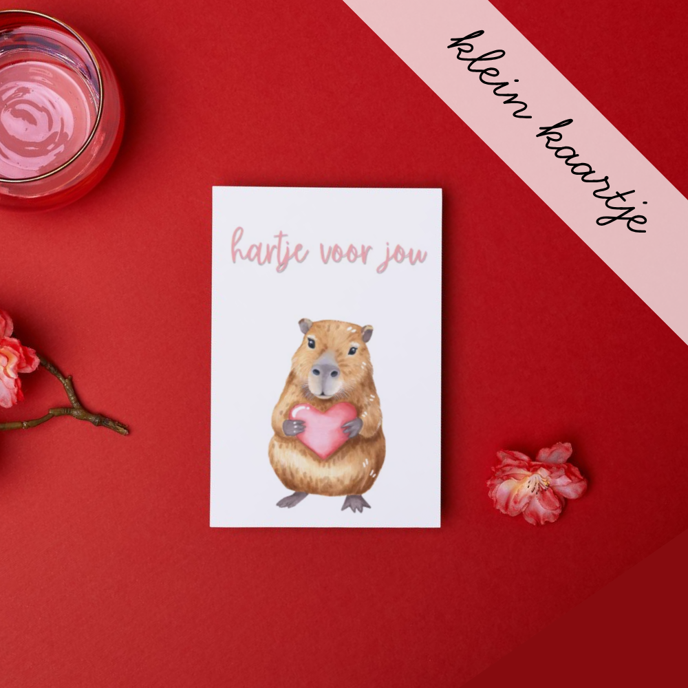 'Hartje voor jou' Capibara - Klein Kaartje