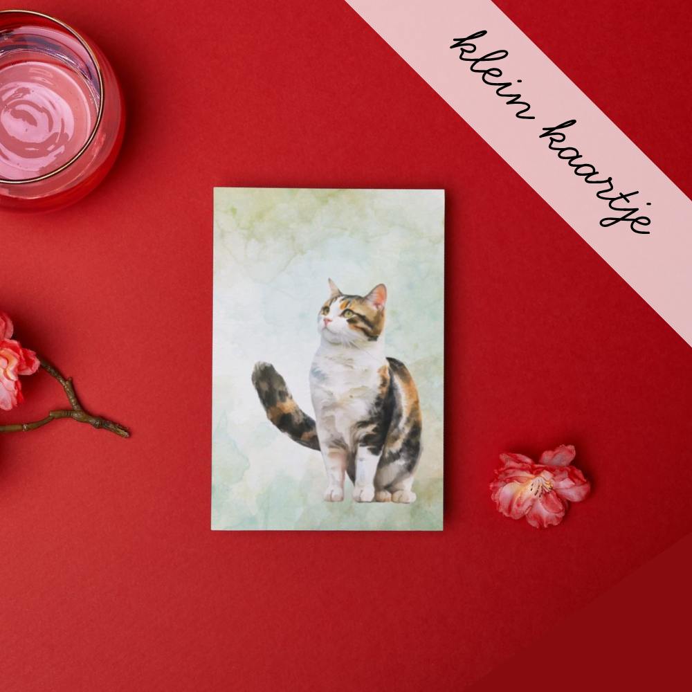 Lapjeskat Poes - Klein Kaartje