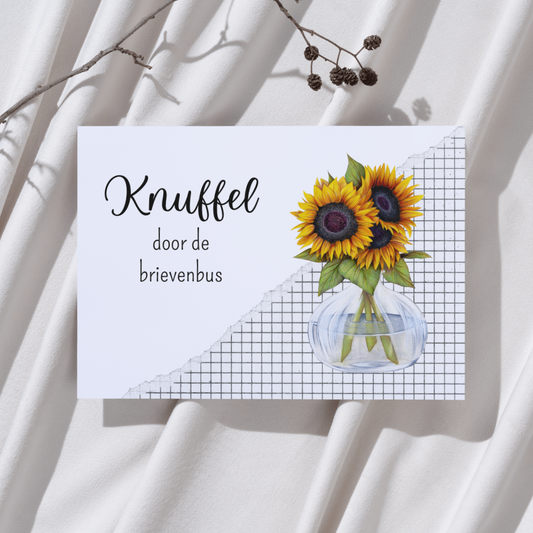 'Knuffel door de brievenbus' - Ansichtkaart