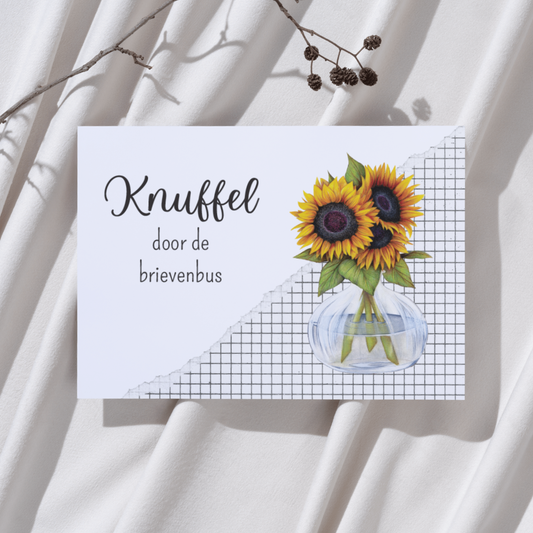 'Knuffel door de brievenbus' - Zonnebloemen Ansichtkaart