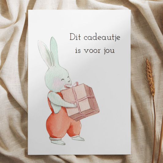 'Dit cadeautje is voor jou’ – Konijn Ansichtkaart