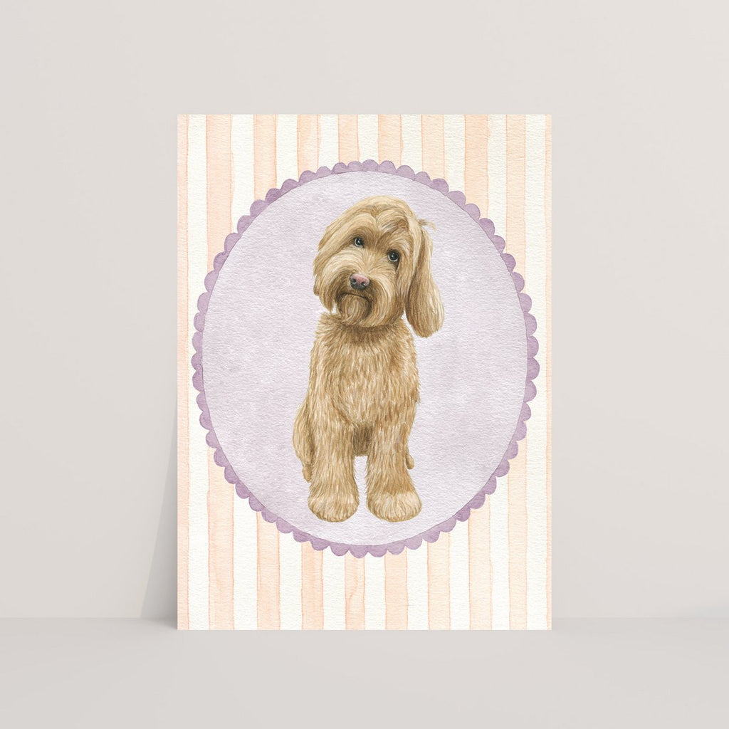 Labradoodle - Ansichtkaart