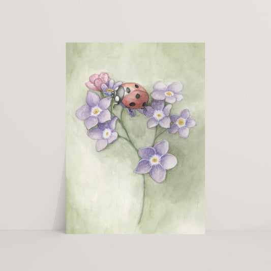 Lieveheersbeestje op bloem - Ansichtkaart