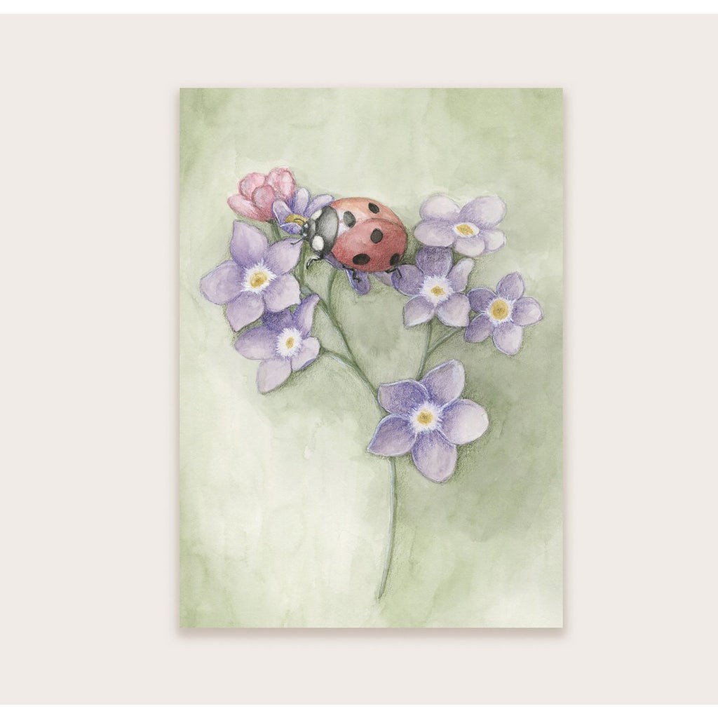 Lieveheersbeestje op bloem - Ansichtkaart