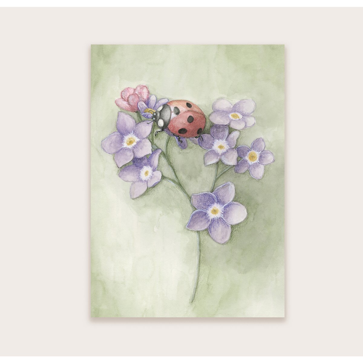 Lieveheersbeestje op bloem - Ansichtkaart