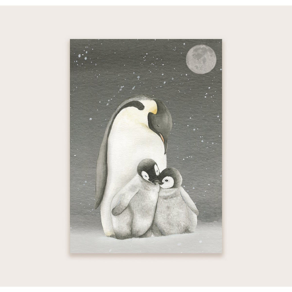 Pinguïns in de nacht - Ansichtkaart