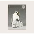 Pinguïns in de nacht - Ansichtkaart