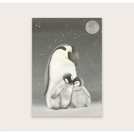 Pinguïns in de nacht - Ansichtkaart
