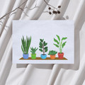 Planten in potjes - Ansichtkaart