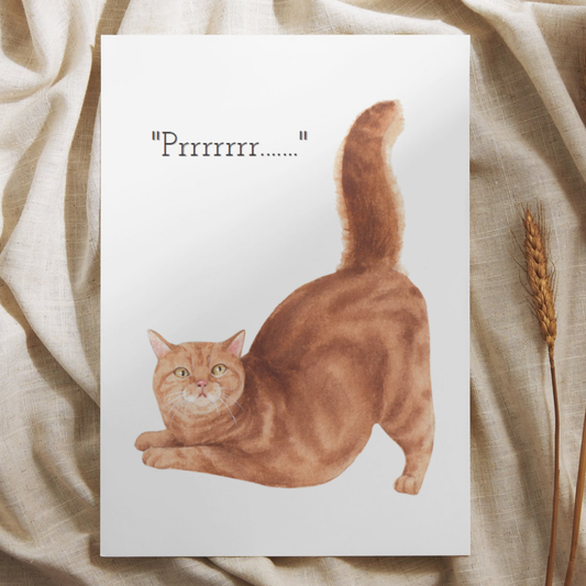'Prrrrrrr...’ Oranje Kater – Ansichtkaart