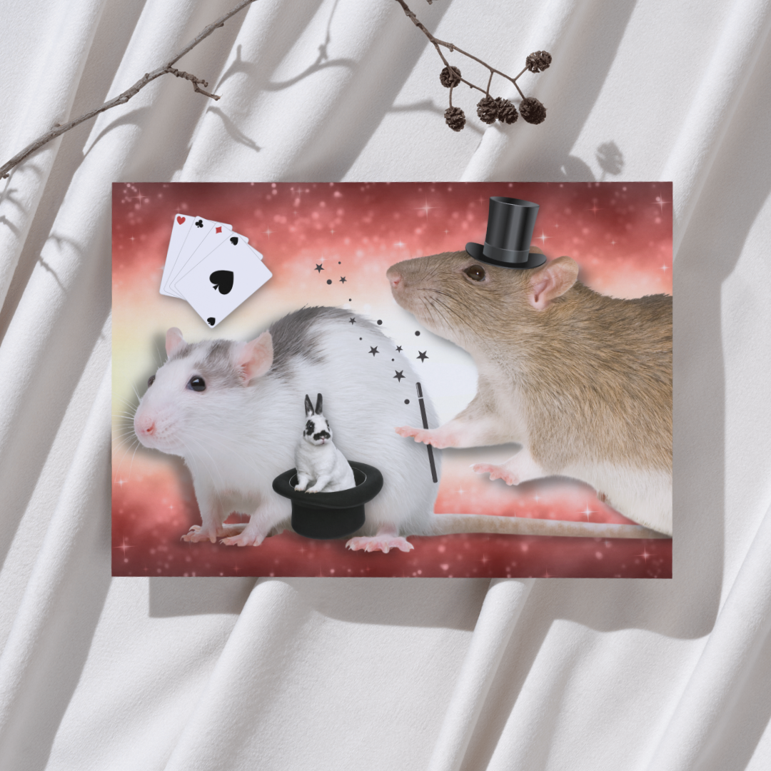 Ratten Goochelen - Ansichtkaart