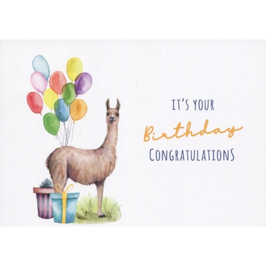 'It’s your birthday, congratulations’ – Alpaca Ansichtkaart
