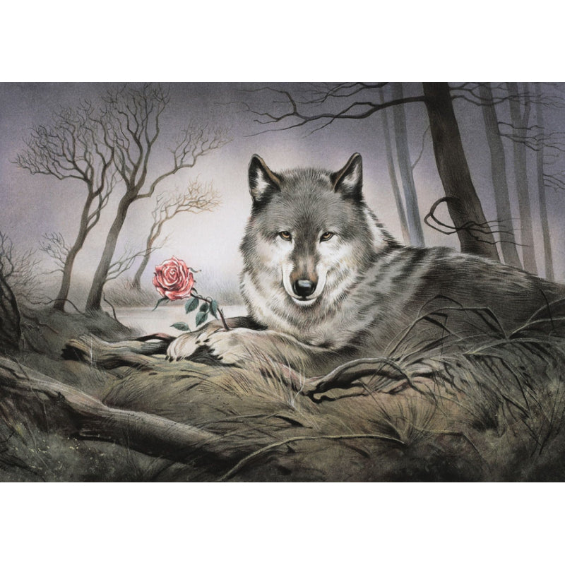 Wolf met Roos – Ansichtkaart